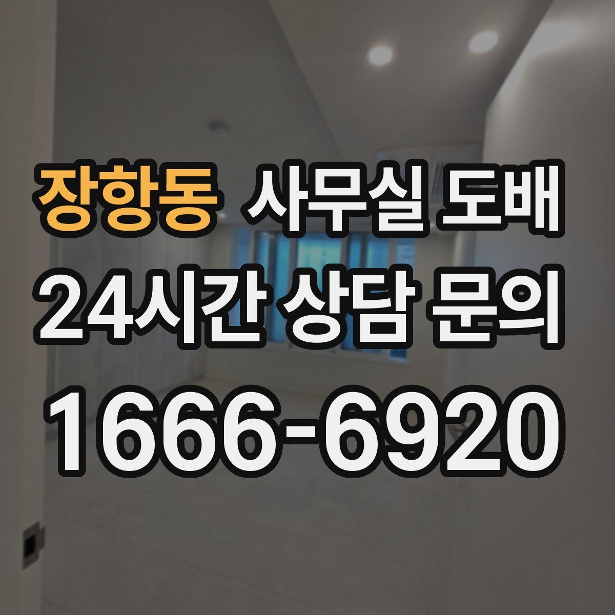 장항동 사무실 도배
