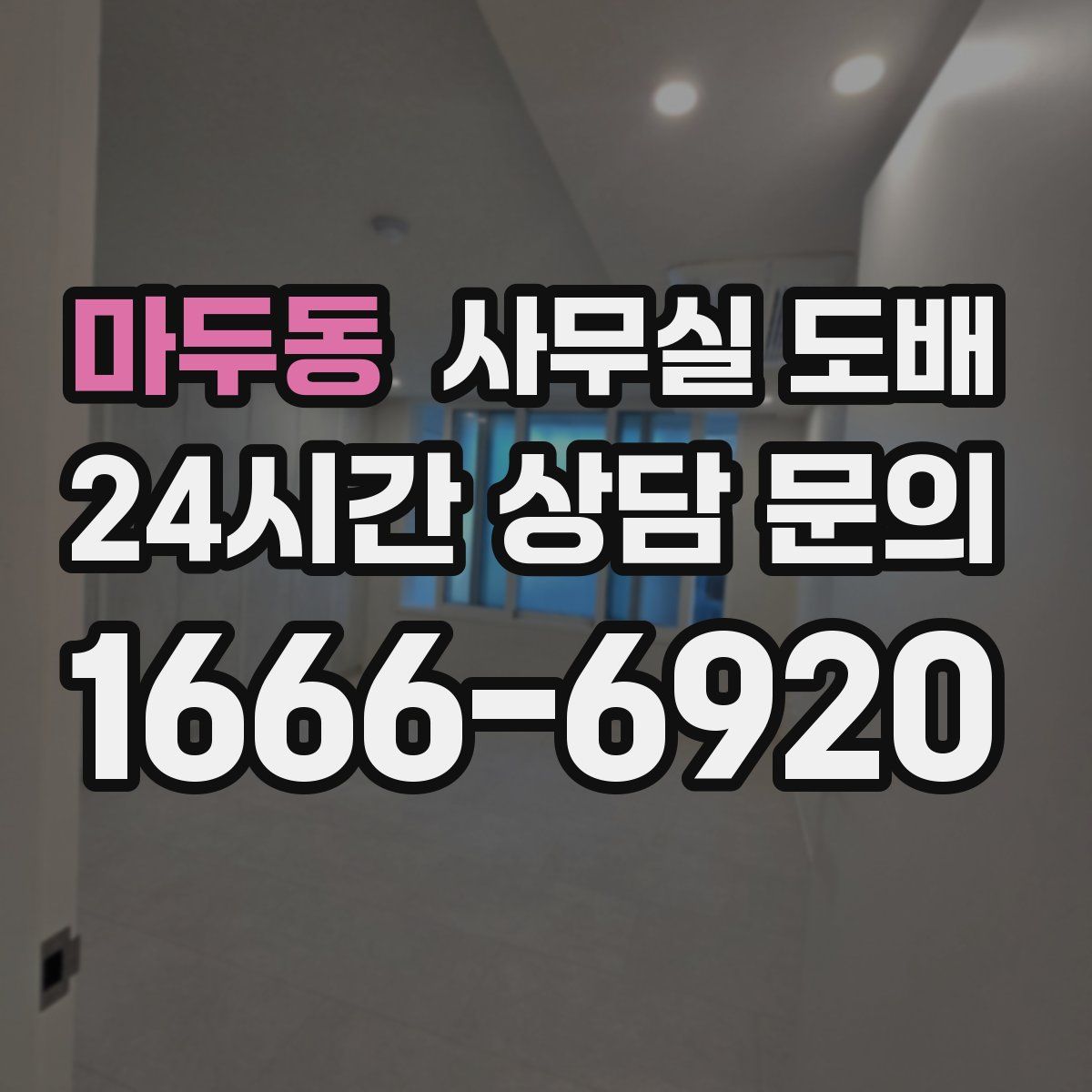 마두동 사무실 도배
