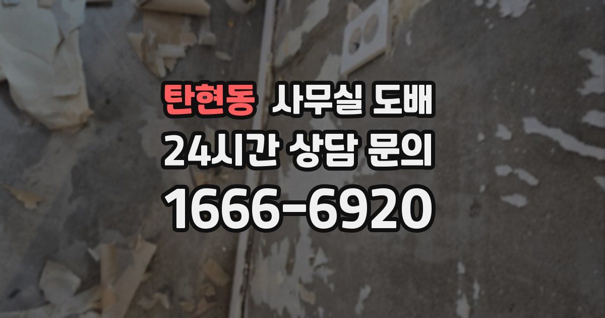 탄현동 사무실 도배