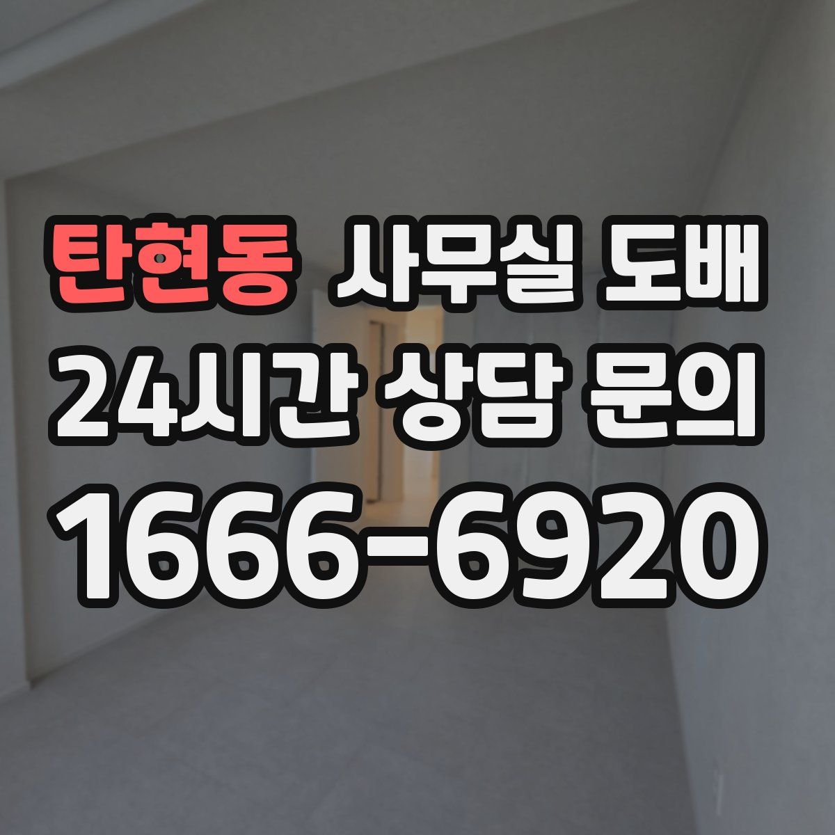 탄현동 사무실 도배