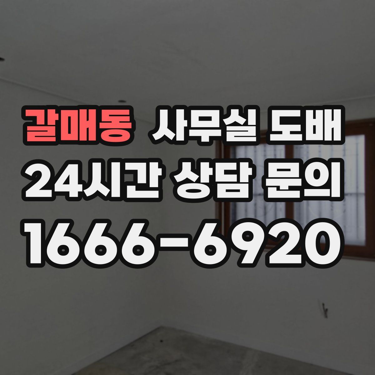 갈매동 사무실 도배
