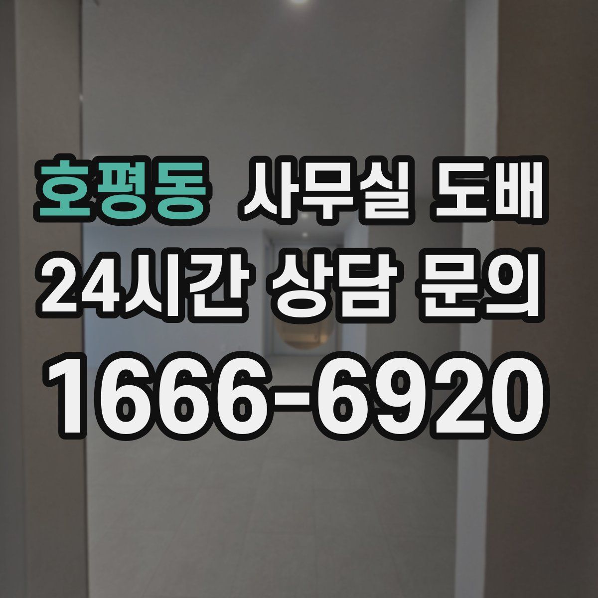 호평동 사무실 도배