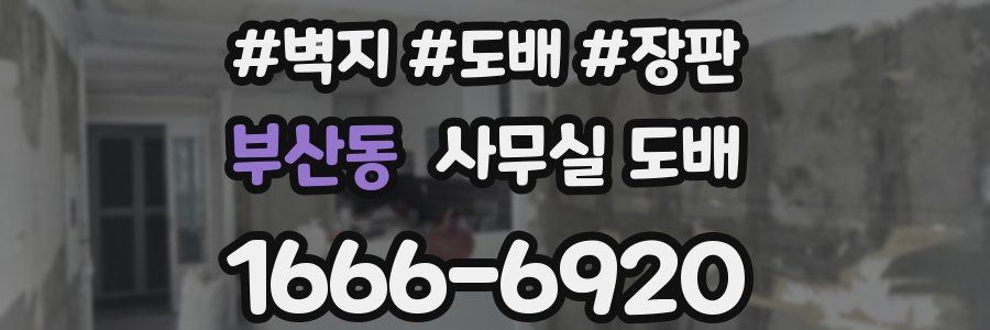 부산동 사무실 도배