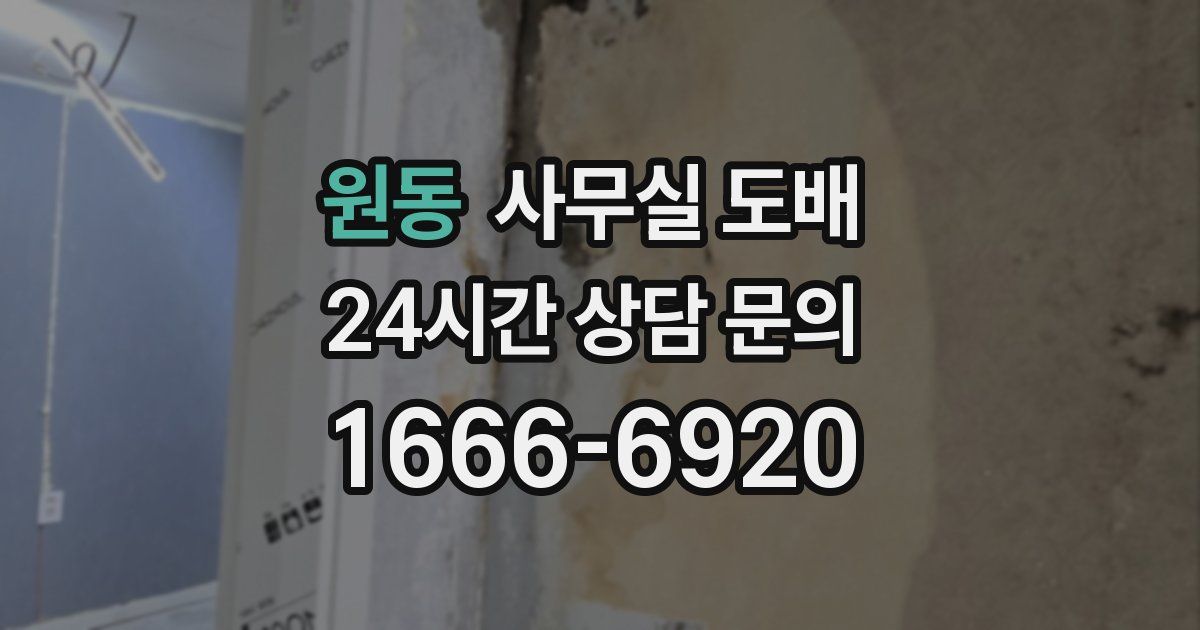 원동 사무실 도배