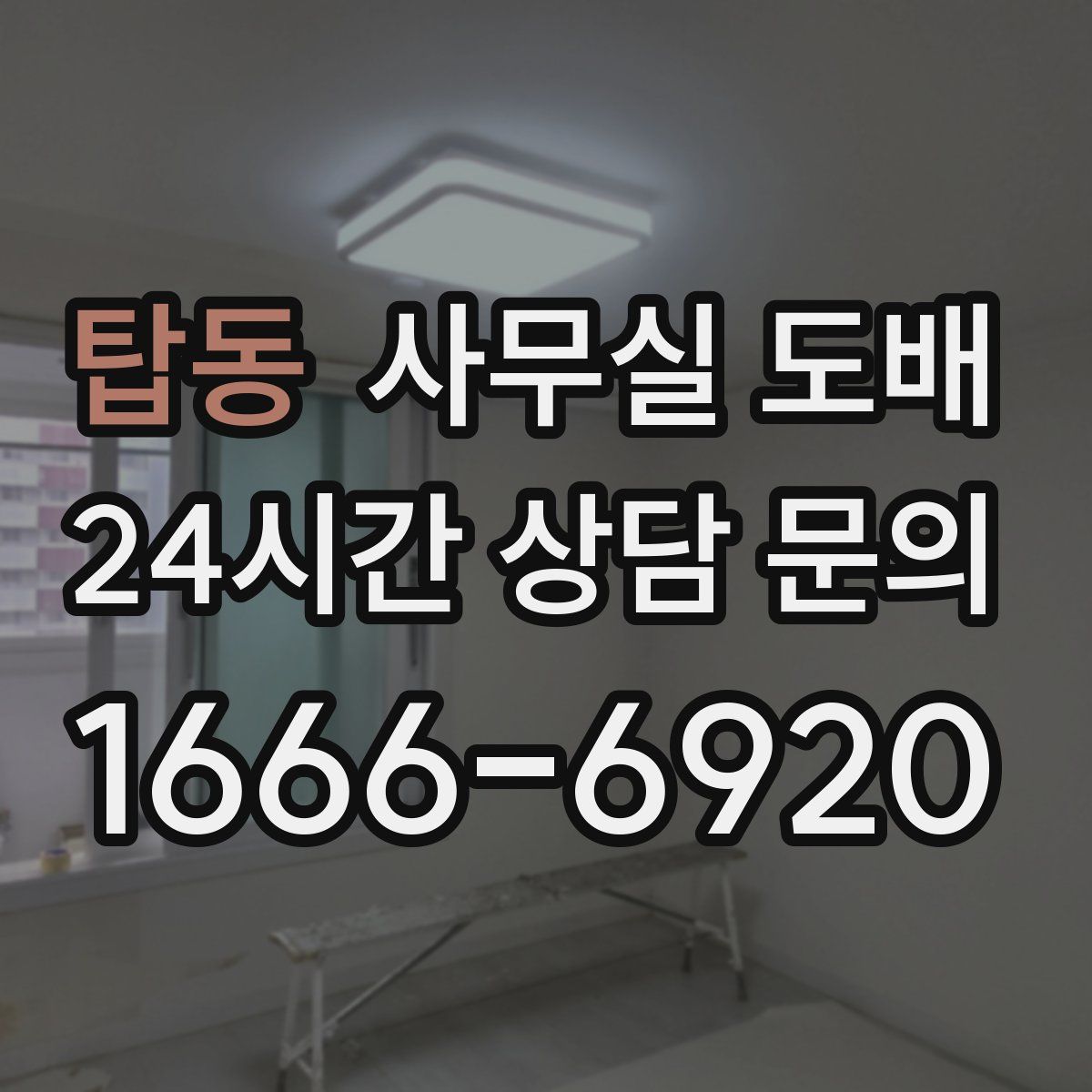 탑동 사무실 도배