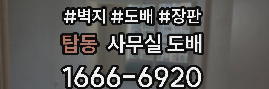 탑동 사무실 도배