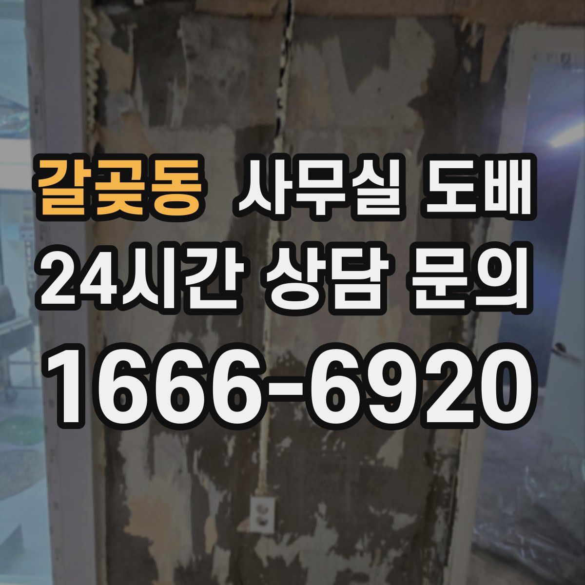 갈곶동 사무실 도배