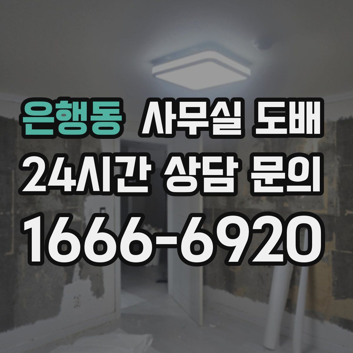 은행동 사무실 도배