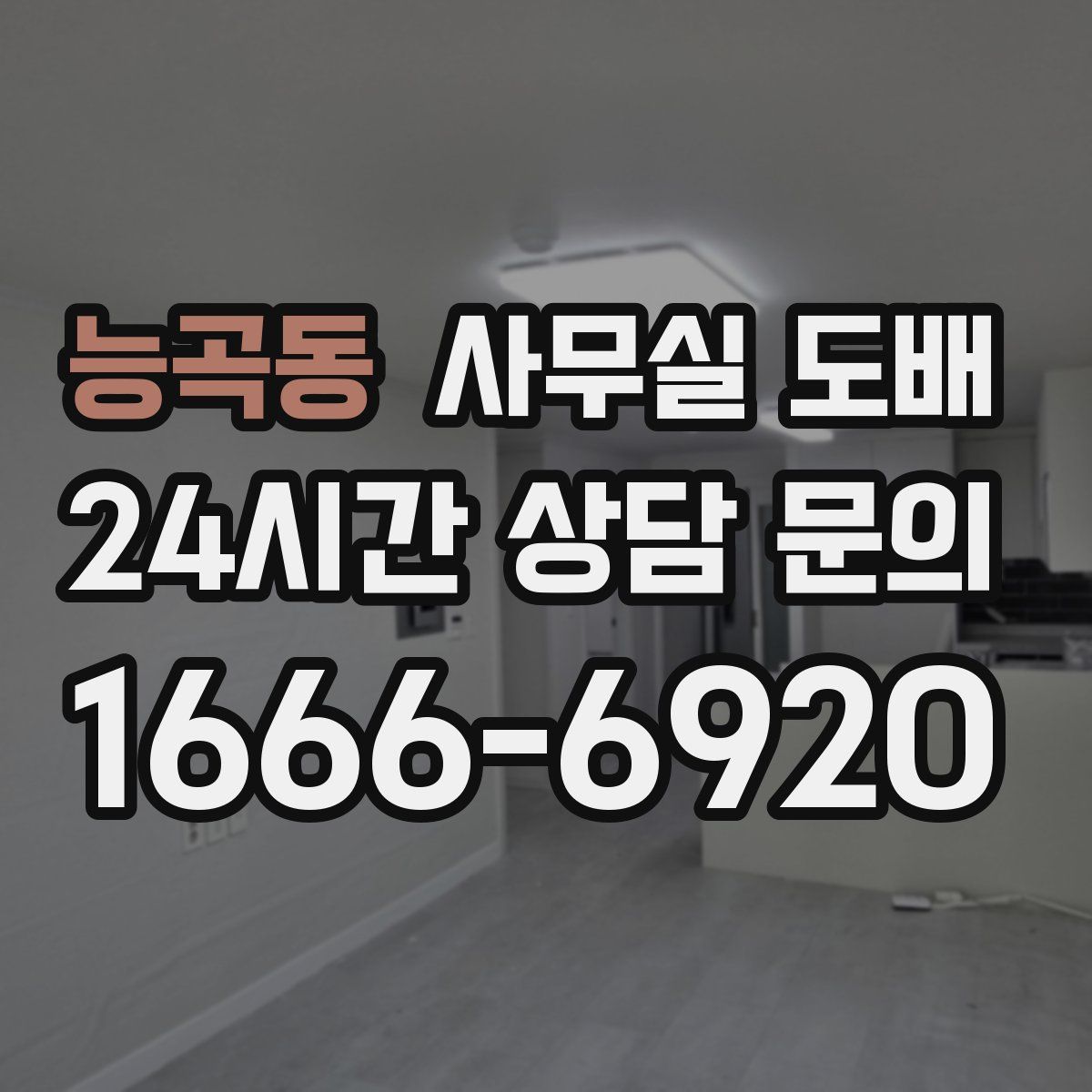 능곡동 사무실 도배