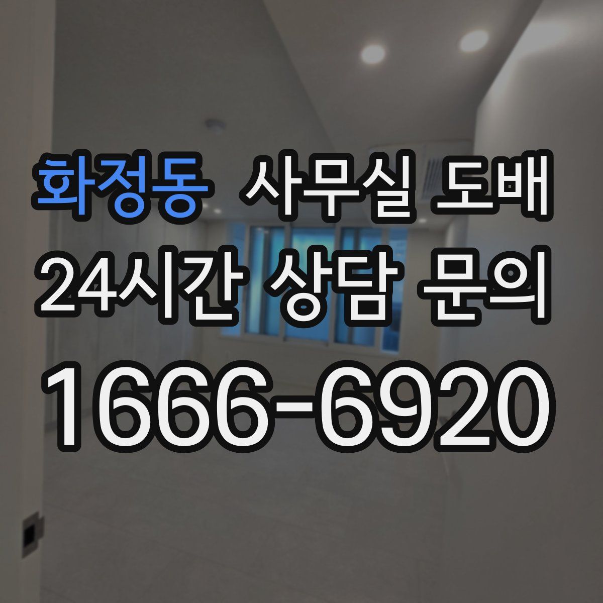 화정동 사무실 도배