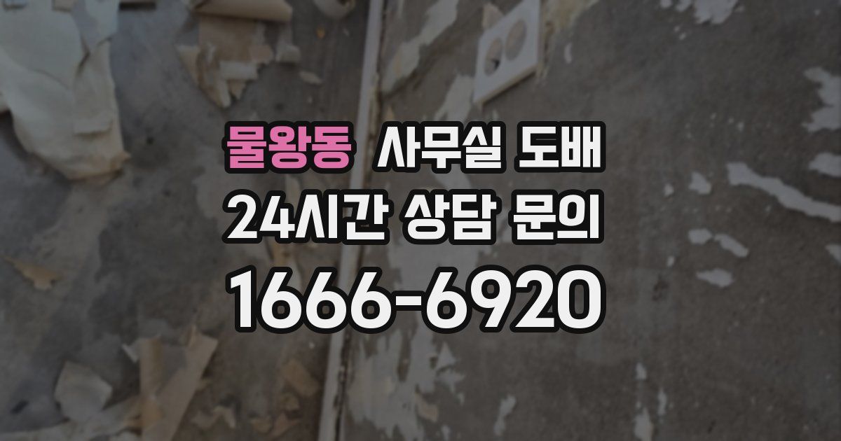 물왕동 사무실 도배