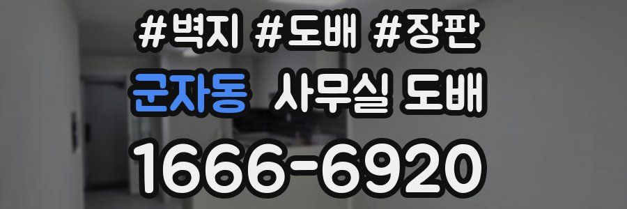 군자동 사무실 도배