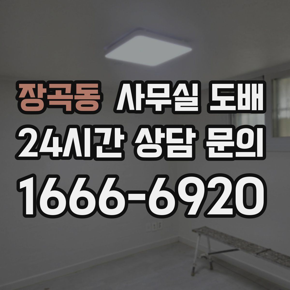 장곡동 사무실 도배