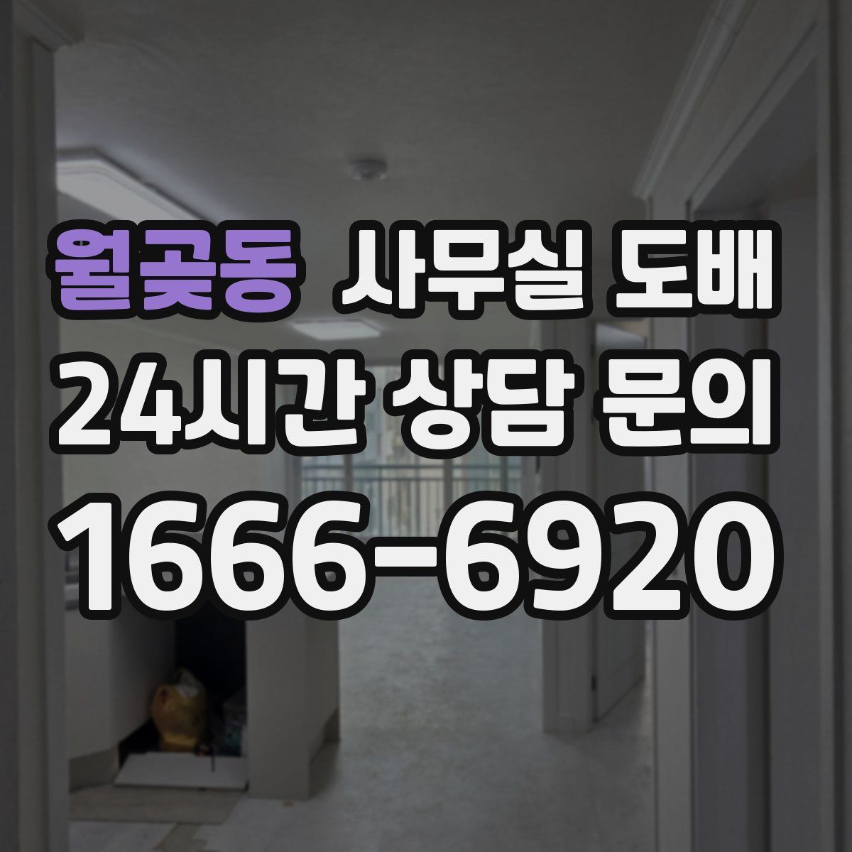 월곶동 사무실 도배