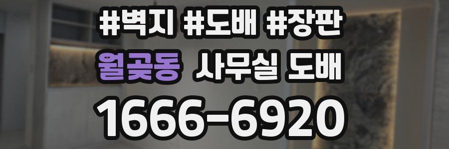 월곶동 사무실 도배