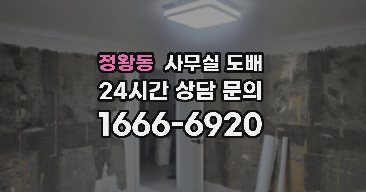 정왕동 사무실 도배