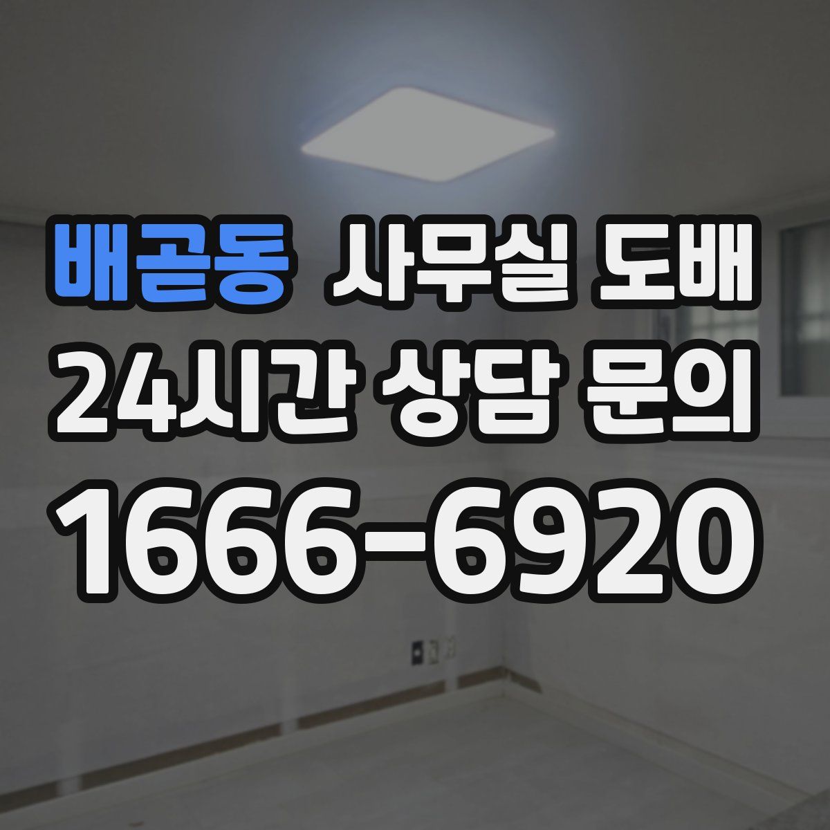 배곧동 사무실 도배