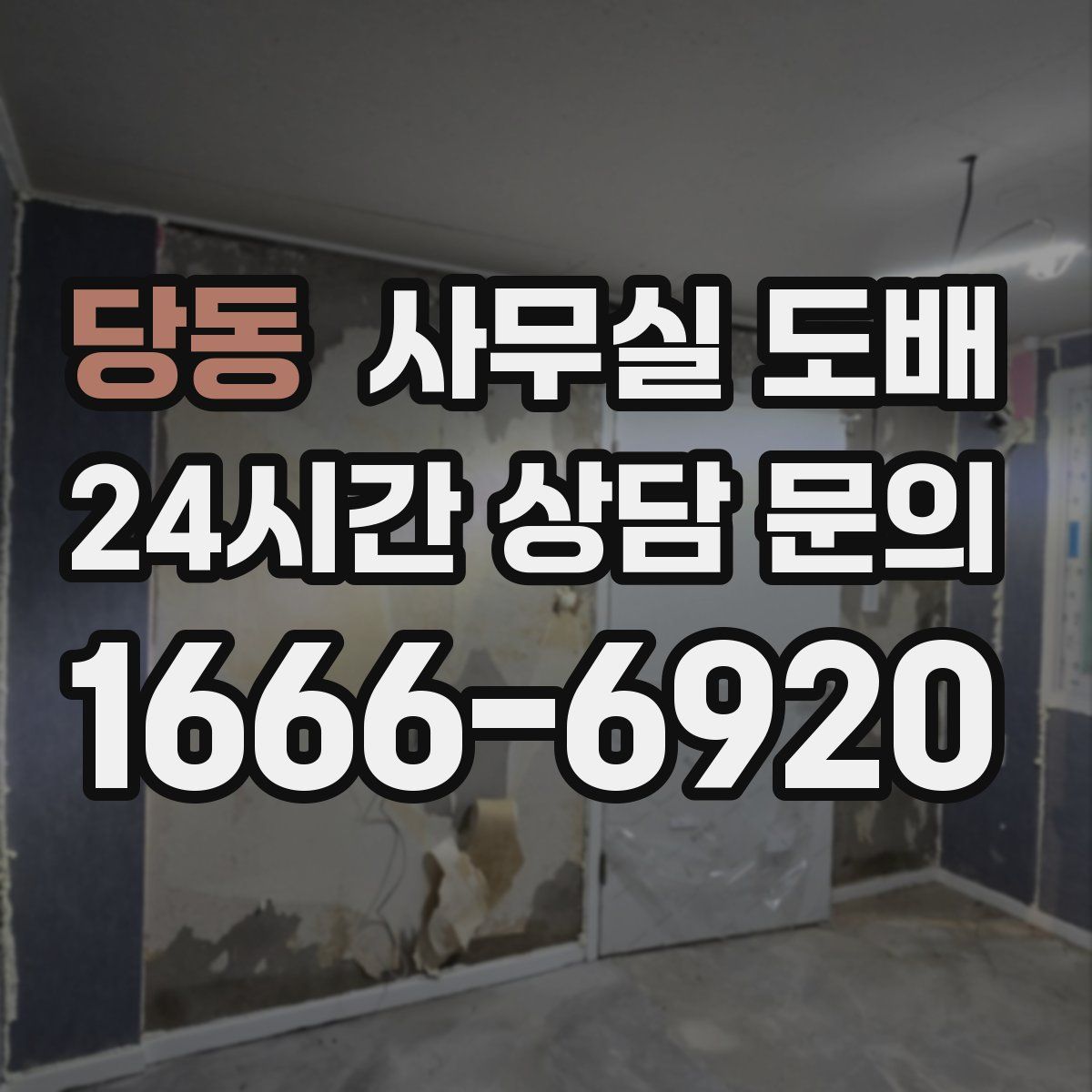 당동 사무실 도배