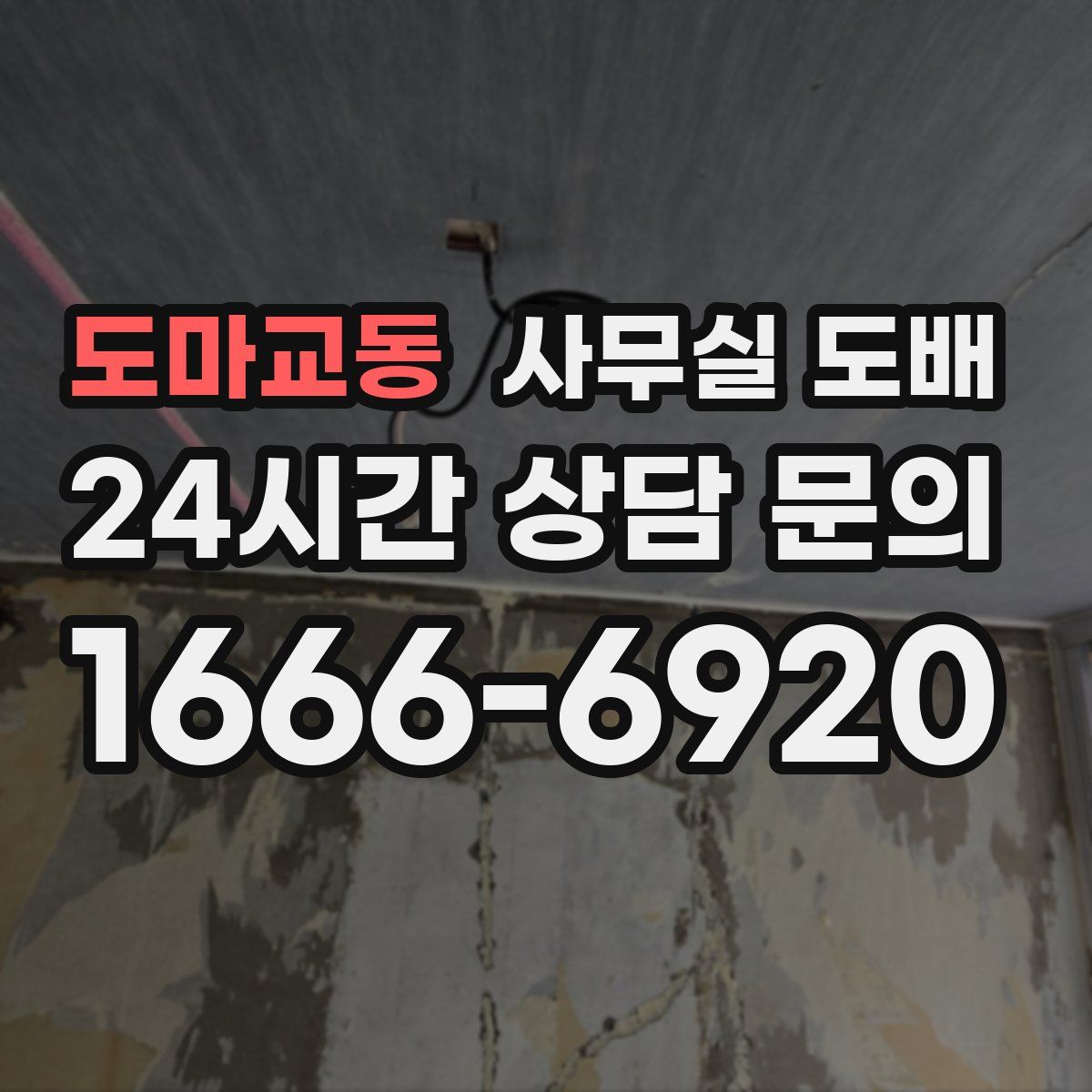 도마교동 사무실 도배