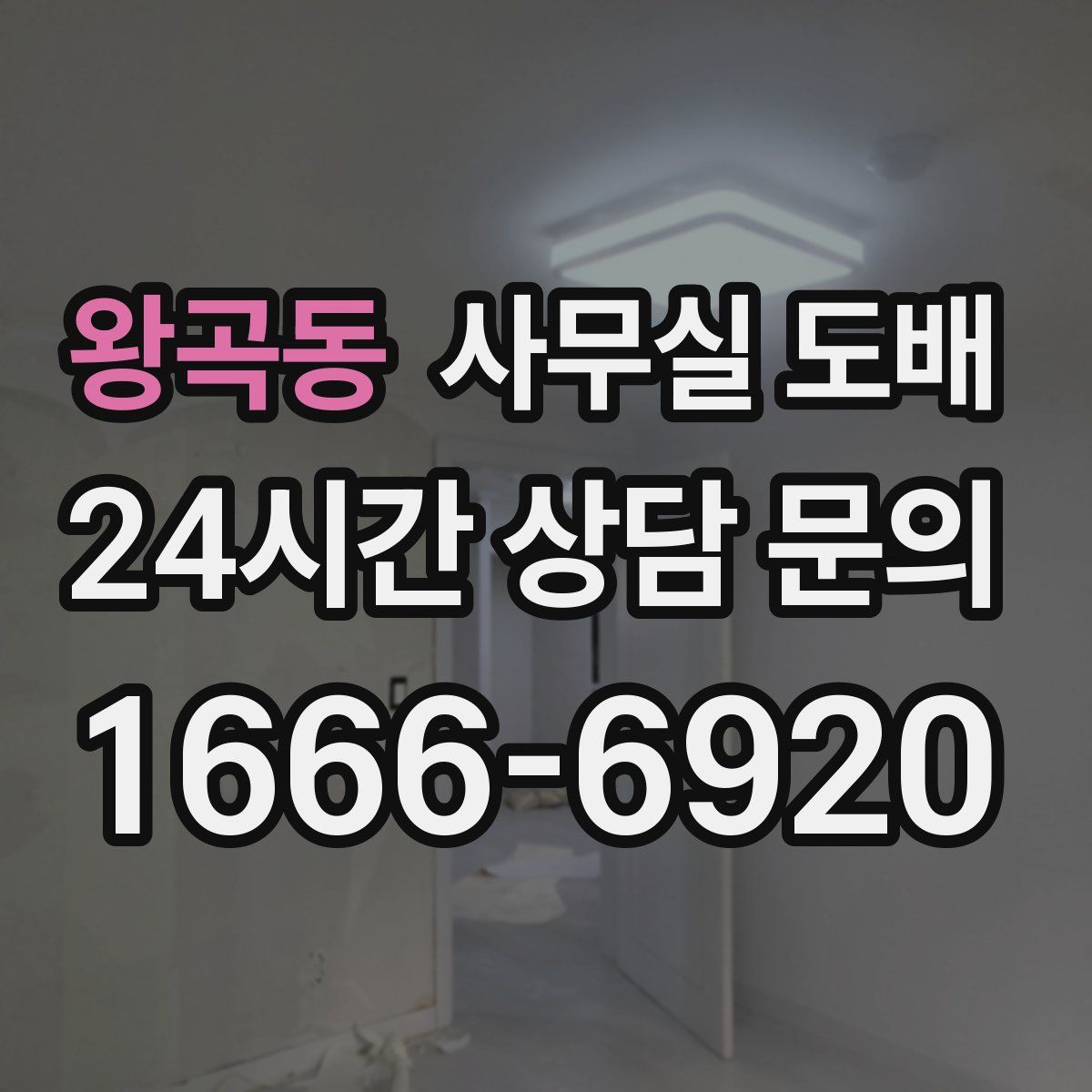 왕곡동 사무실 도배