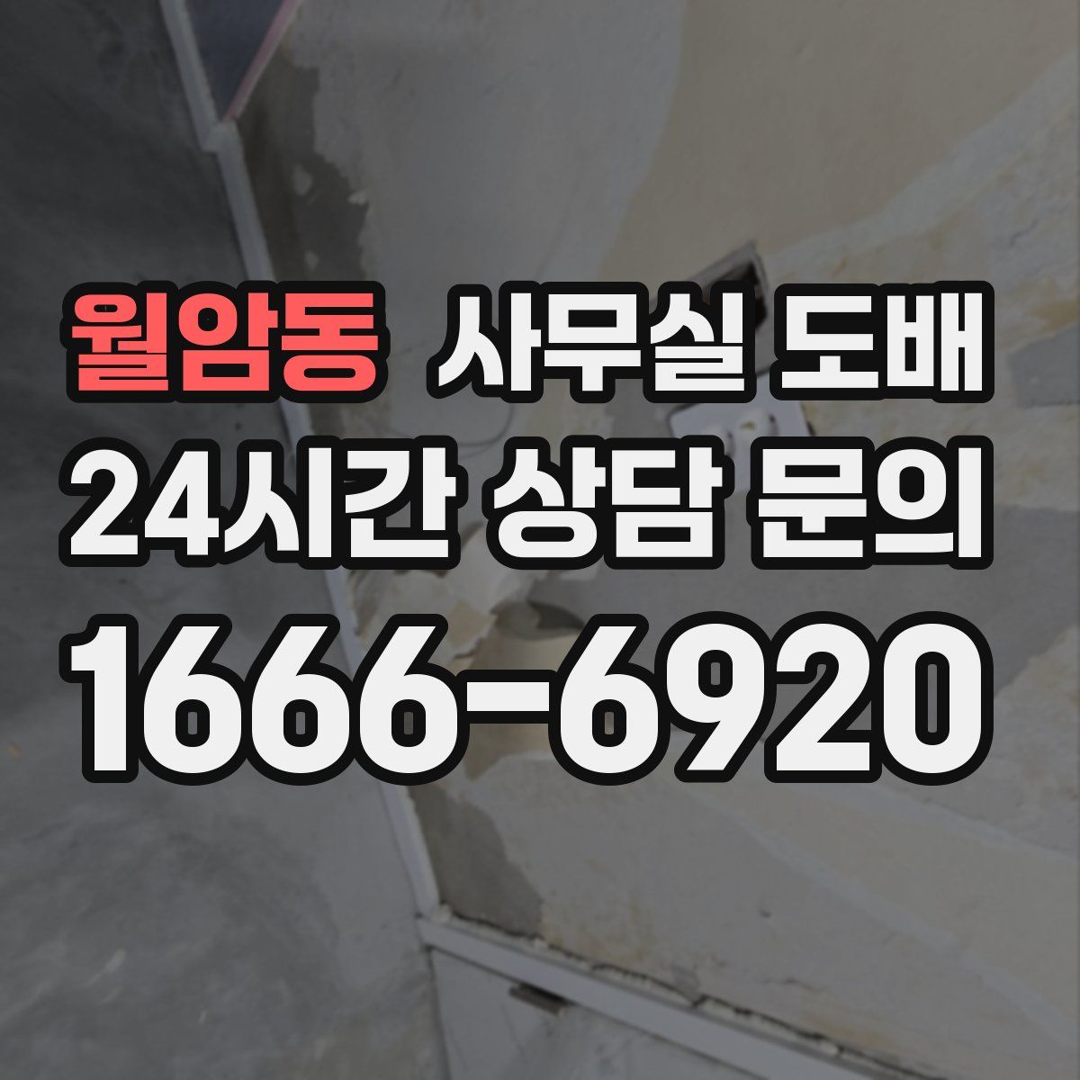 월암동 사무실 도배