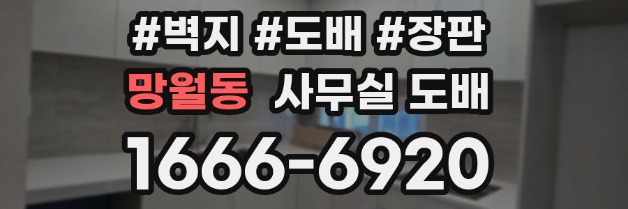 망월동 사무실 도배