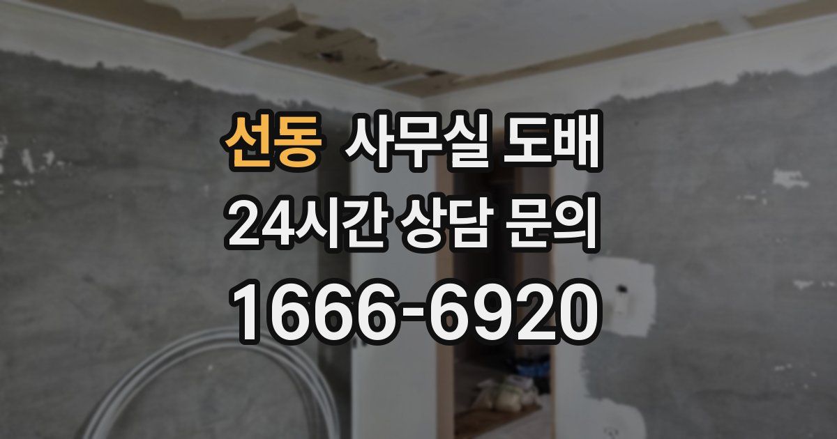 선동 사무실 도배