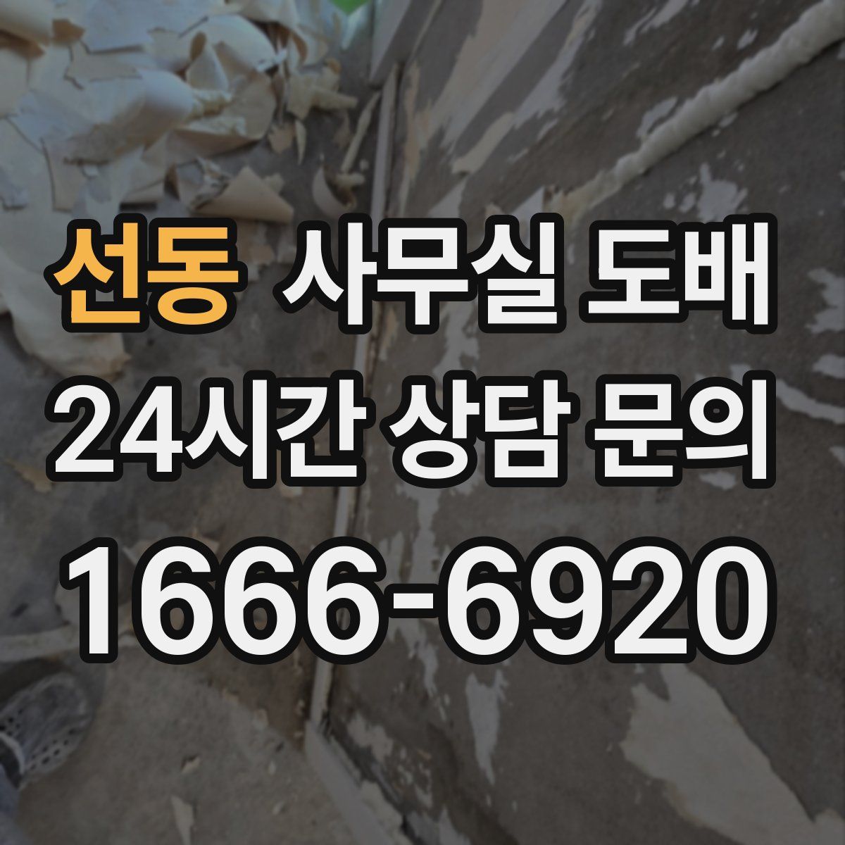 선동 사무실 도배