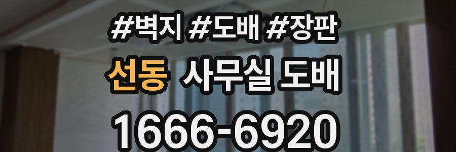 선동 사무실 도배