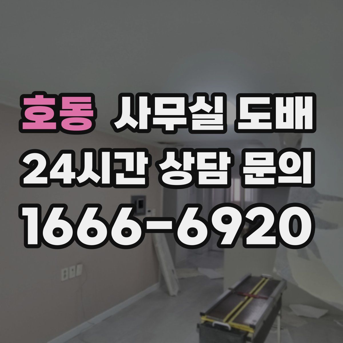 호동 사무실 도배