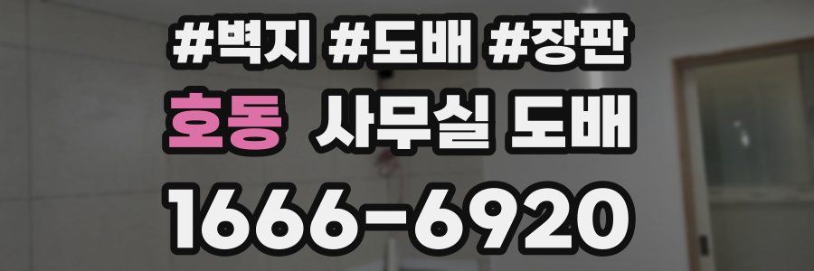 호동 사무실 도배