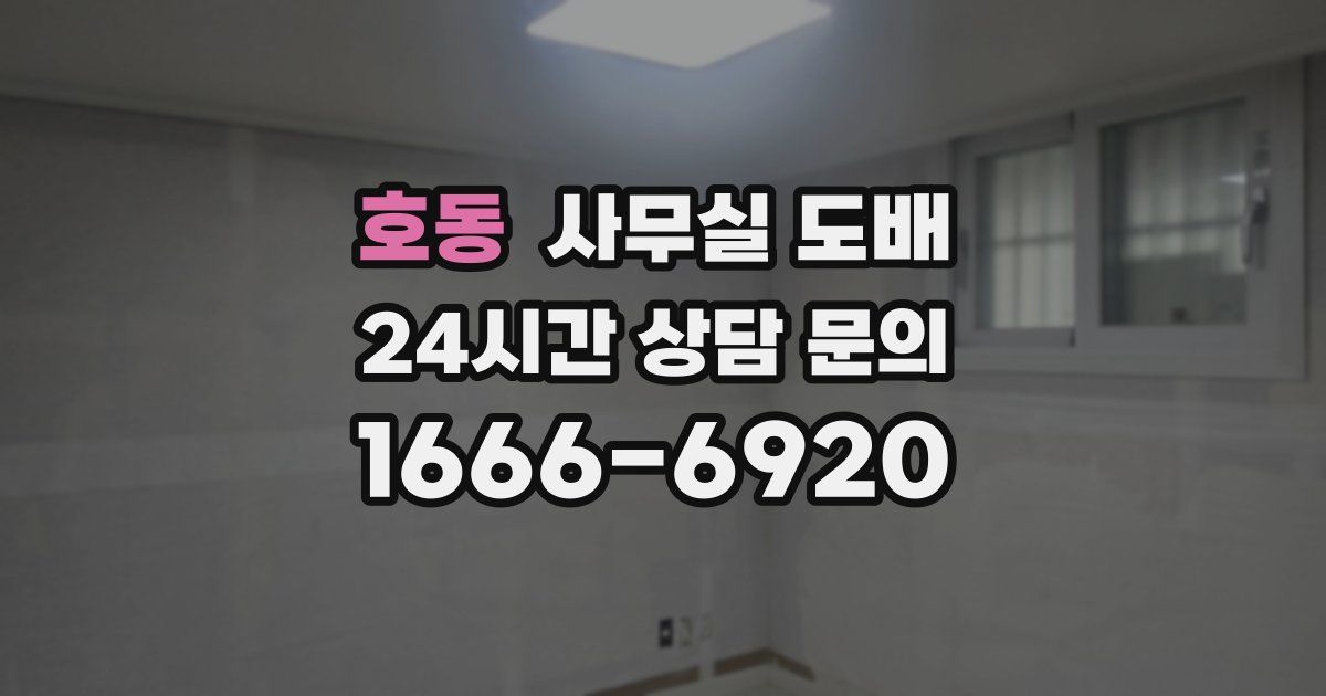 호동 사무실 도배