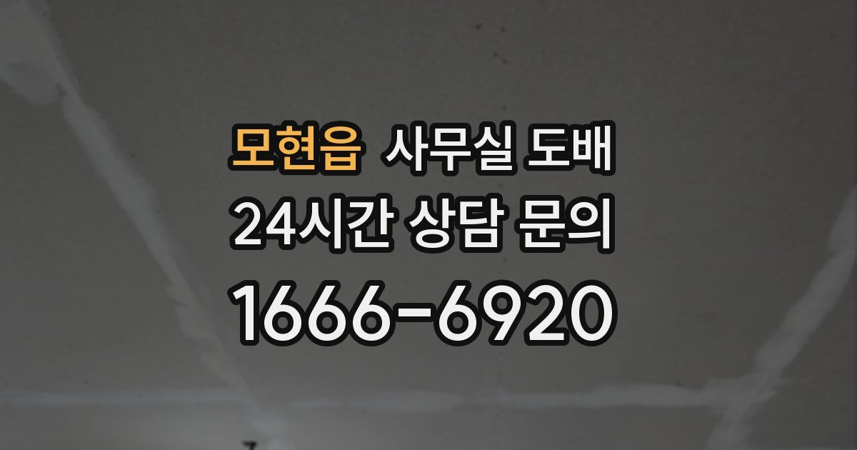 모현읍 사무실 도배