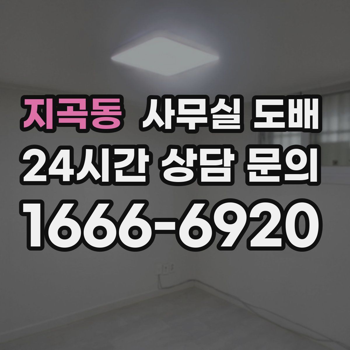 지곡동 사무실 도배