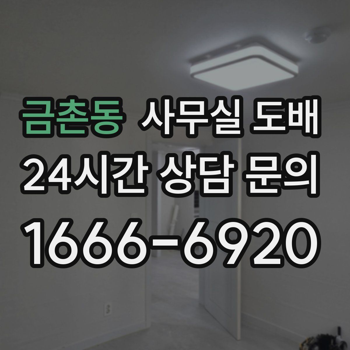 금촌동 사무실 도배