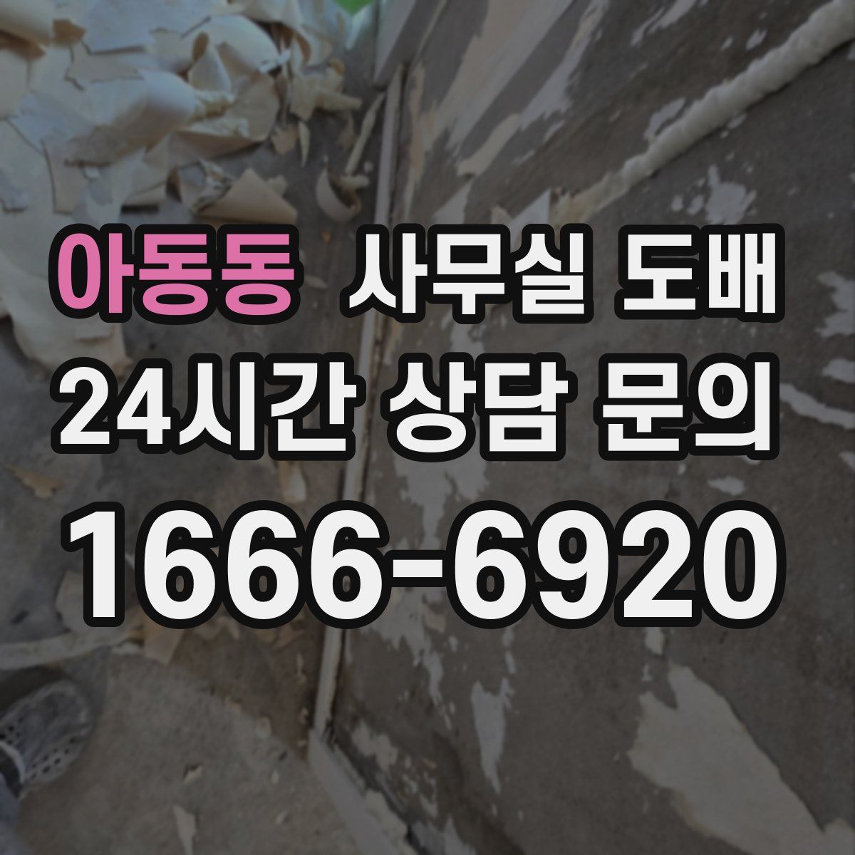 아동동 사무실 도배