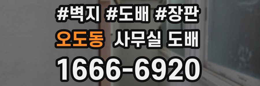 오도동 사무실 도배
