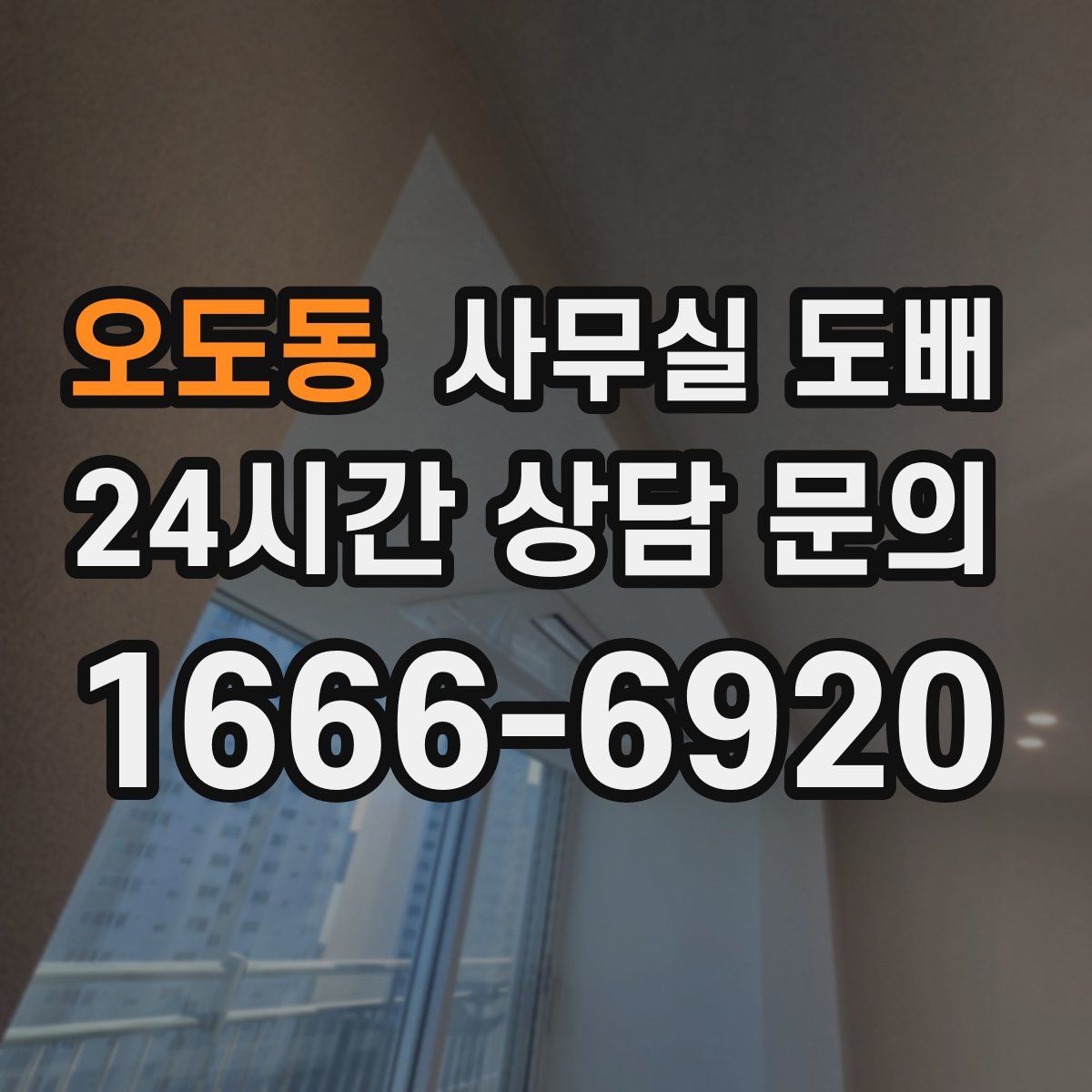 오도동 사무실 도배