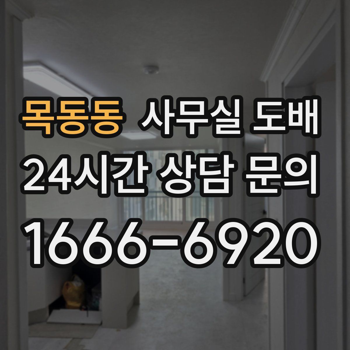 목동동 사무실 도배