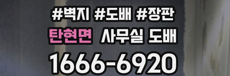 탄현면 사무실 도배