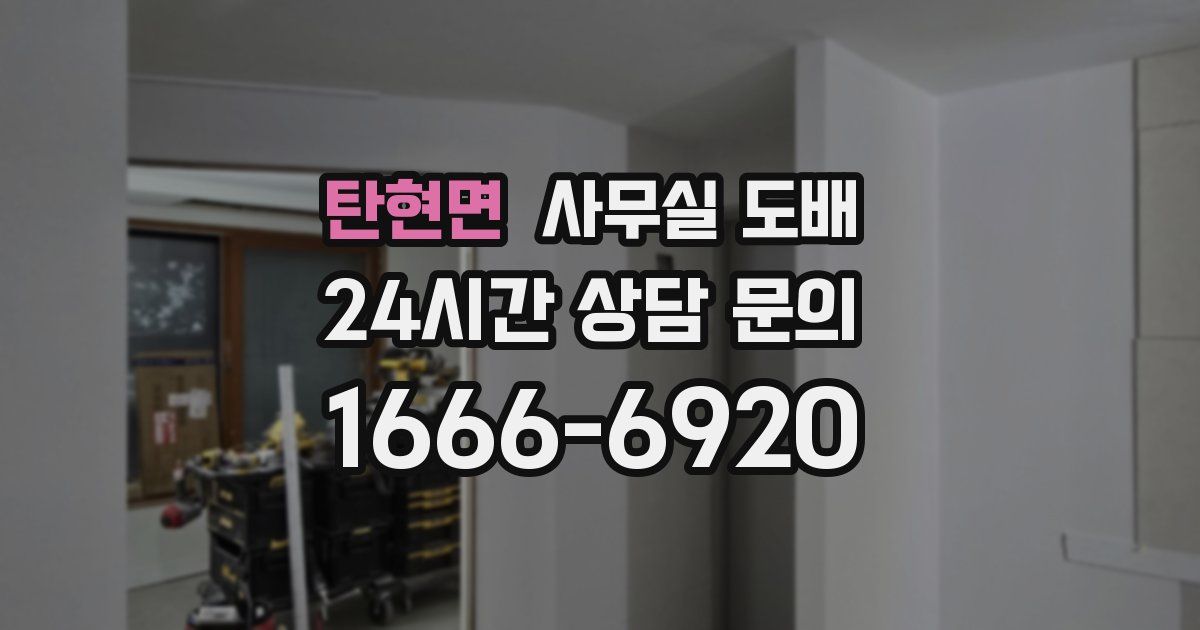 탄현면 사무실 도배