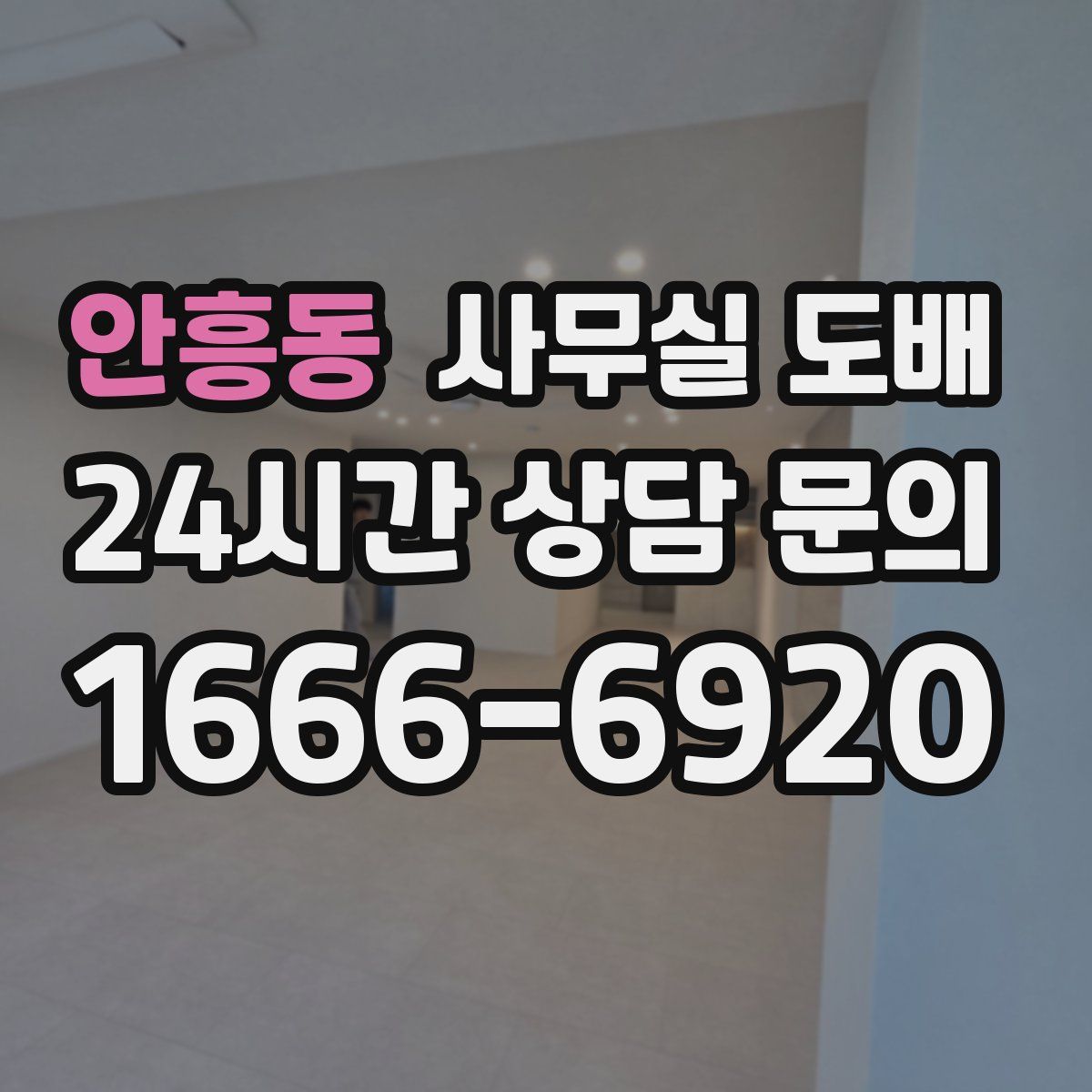 안흥동 사무실 도배
