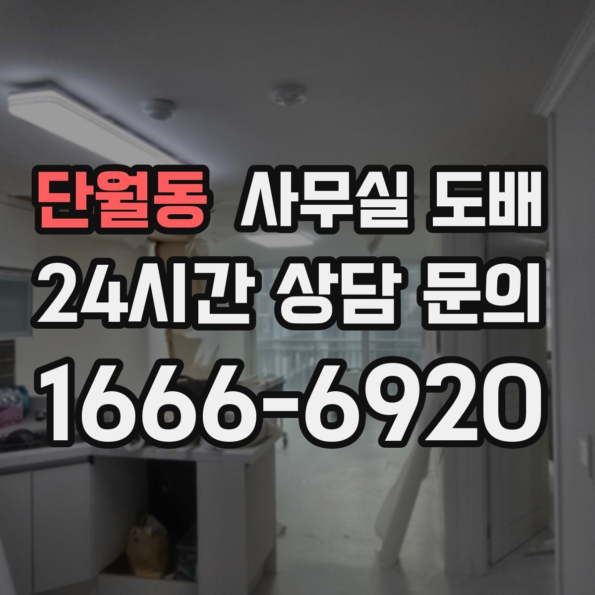 단월동 사무실 도배