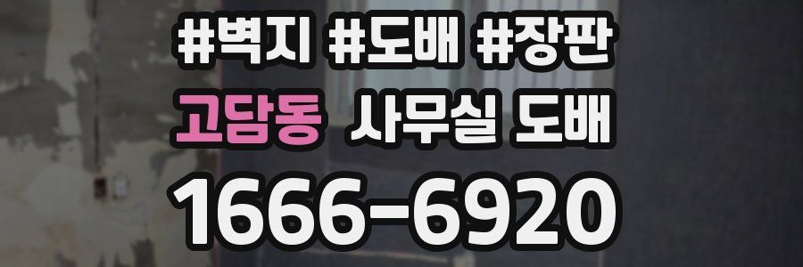 고담동 사무실 도배