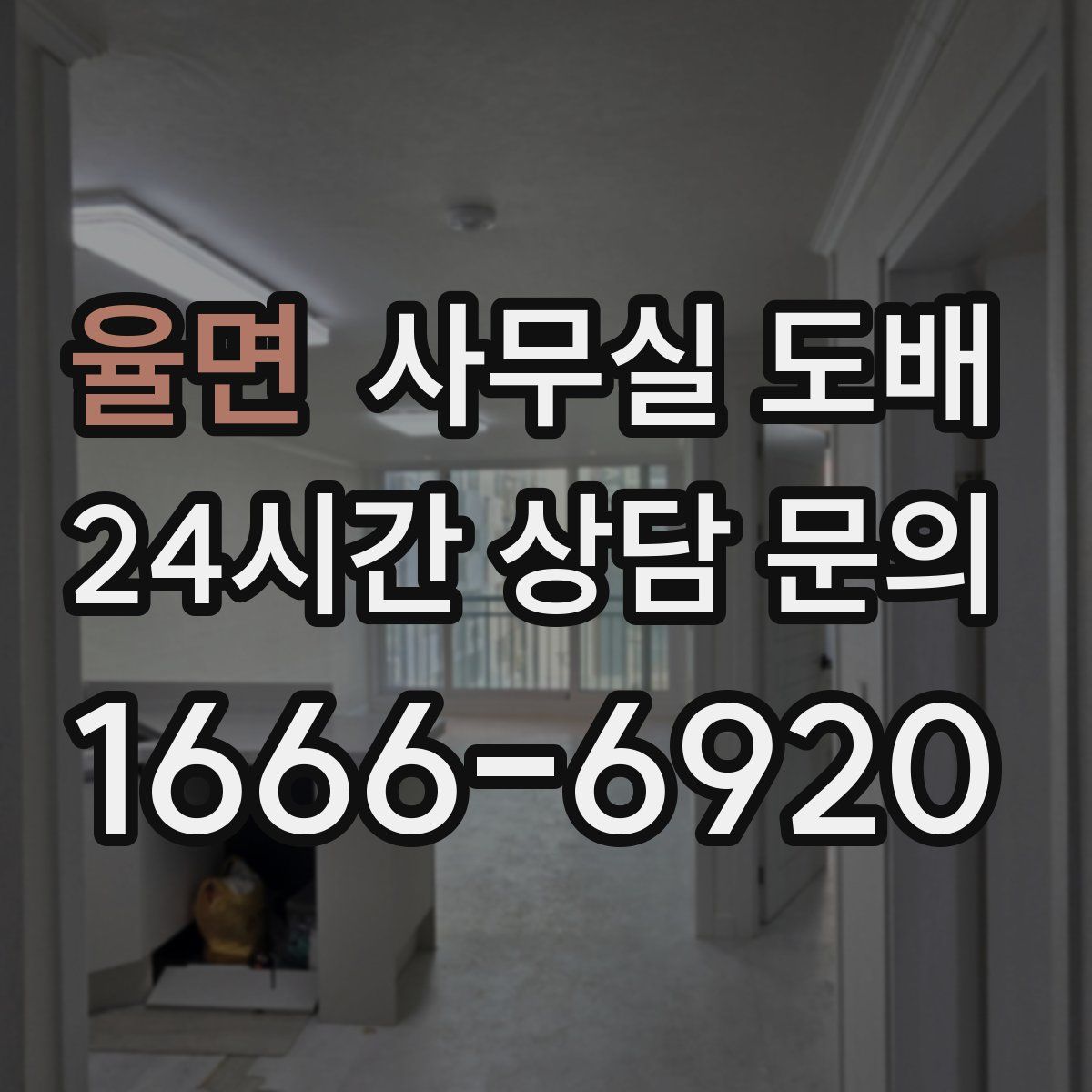 율면 사무실 도배