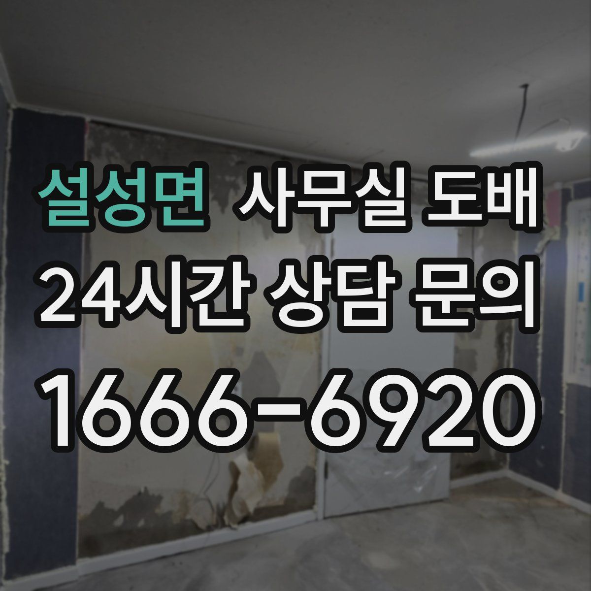 설성면 사무실 도배