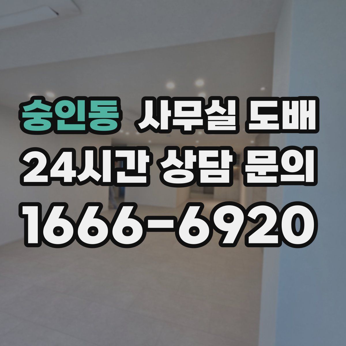 숭인동 사무실 도배