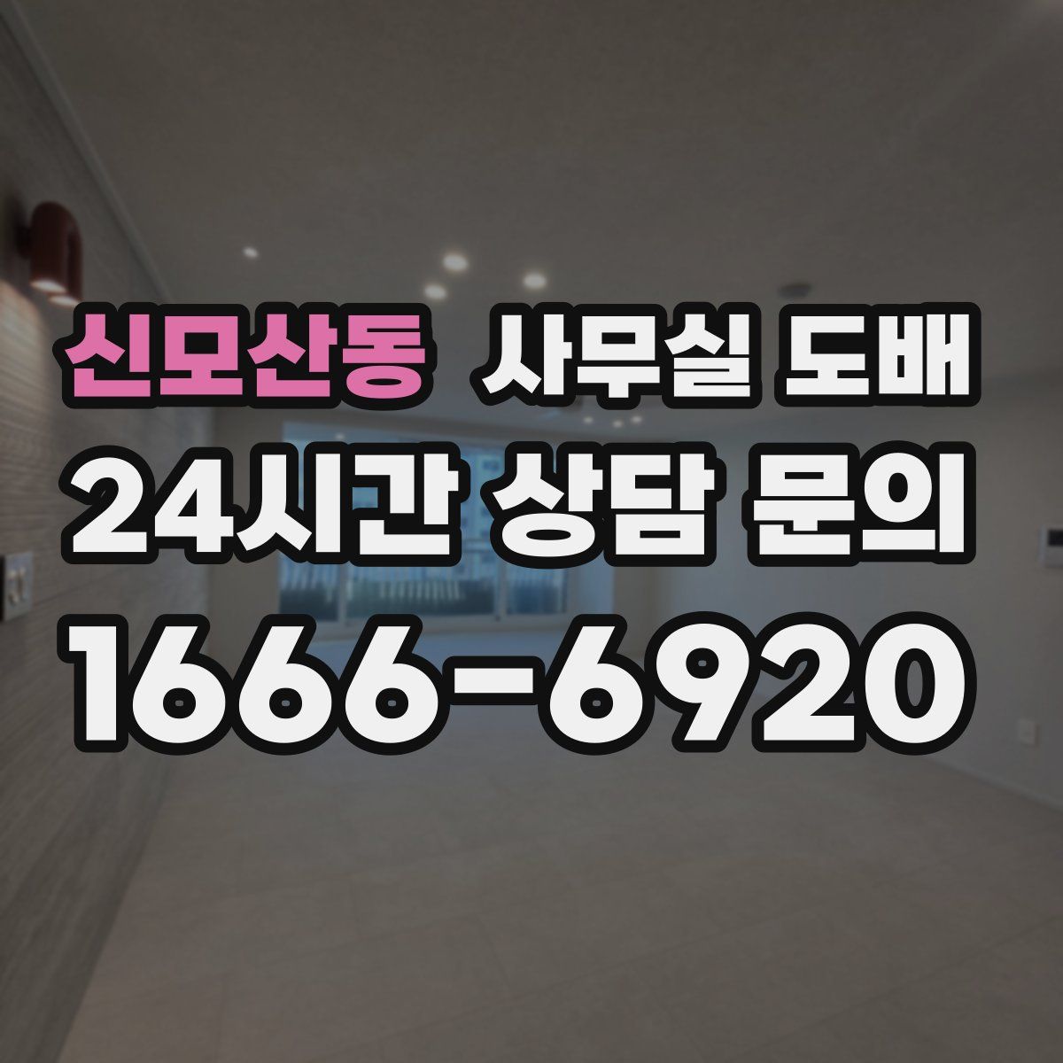 신모산동 사무실 도배