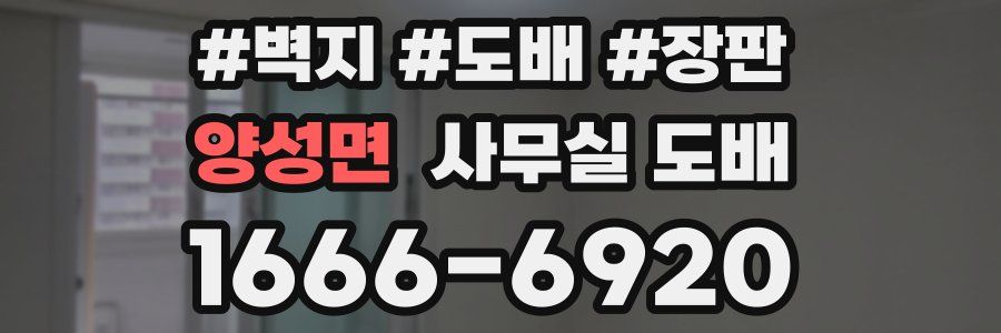 양성면 사무실 도배