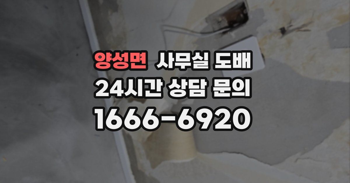 양성면 사무실 도배